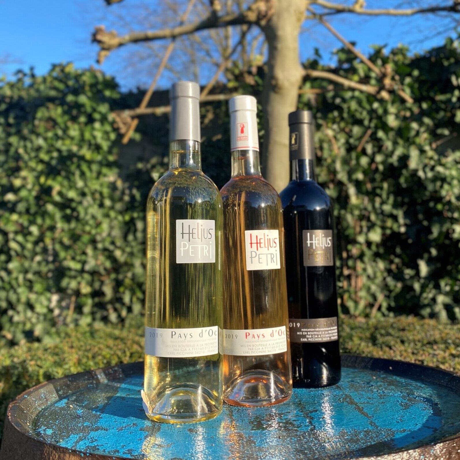 notre rose rouge blanc helius petri rosé